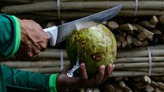 Weight Lose Tips: ঘুম থেকেই উঠে খালি পেটেই খান এই পানীয়গুলি, ওজন ঝরবে দ্রুত