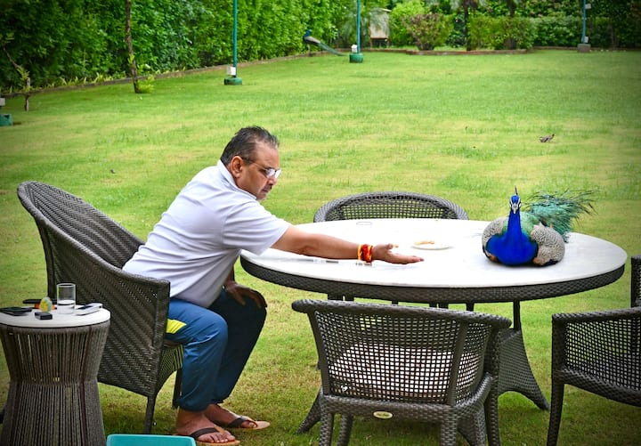 सीएम भजनलाल शर्मा ने मोर को दाना खिलाते हुए तस्वीरों के साथ लिखा, 