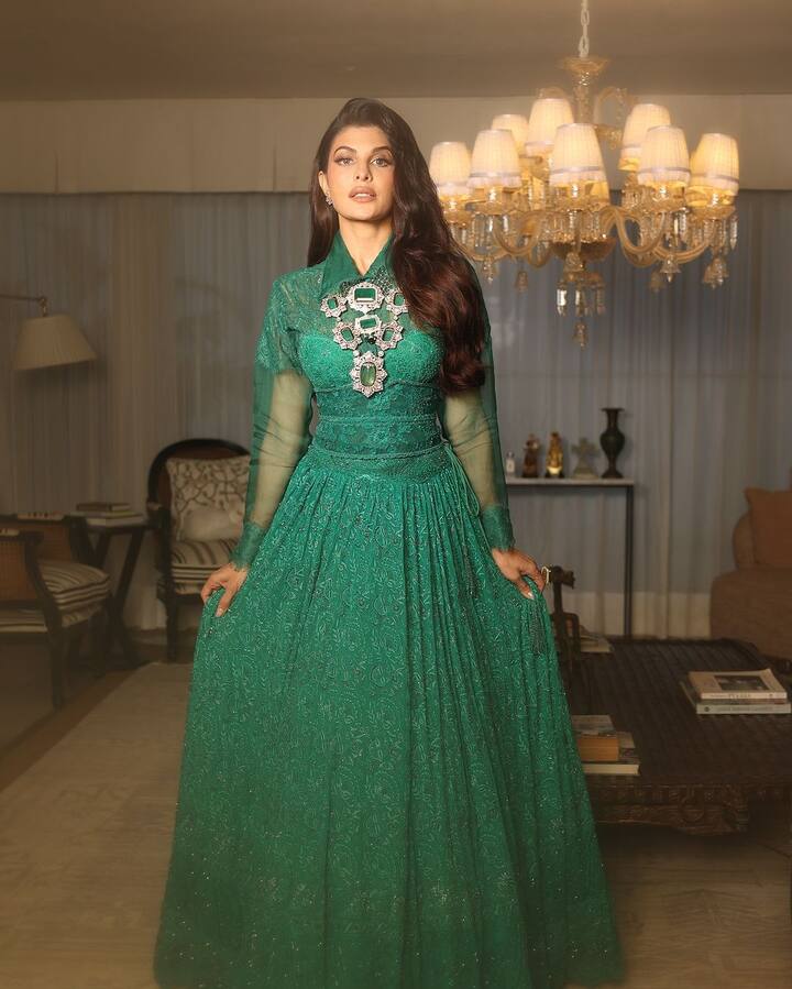 Talking about Jacqueline's net worth, according to media reports, today the actress has become the owner of property worth around Rs 116 crore.