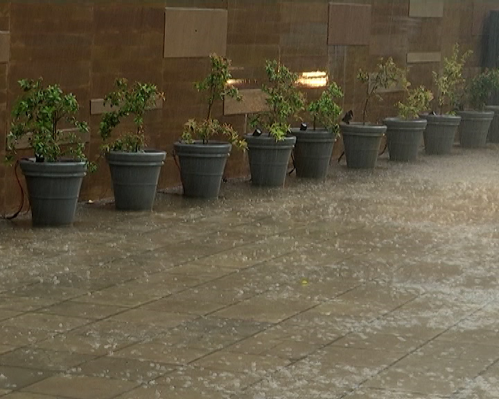 Rain Forecast: હવામાન વિભાગના જણાવ્યા અનુસાર, બનાસકાંઠા, સાબરકાંઠા, અરવલ્લી, મહીસાગર, આણંદ, વડોદરા અને છોટાઉદેપુર જિલ્લાઓમાં ભારે વરસાદની સંભાવના છે. આ પરિસ્થિતિ રાજસ્થાન તરફથી આવી રહેલી મોન્સુન ટ્રફને કારણે સર્જાઈ છે.