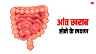 Unhealthy Intestine: बीमार आंत के कारण खराब होता है डाइजेशन, जानें इसके शुरुआती लक्षण और बचाव