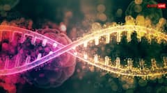 આ મોટી બીમારીઓ હોય છે જીનેટિક, ફેમિલી હિસ્ટ્રીની પડે છે અસર , જાણો તેના વિશે 