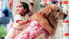 અંબાણી પરિવારના કુતરાનો પણ ઠાઠ છે! અનંત અંબાણીનો કૂતરો હેપ્પી 4 કરોડની કારનો માલિક