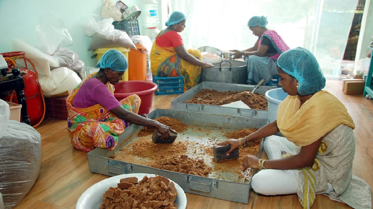 பனங்கருப்பட்டி தூள் தெரியுமா? ஐ.டி வேலையை விட்டுட்டு கருப்பட்டி காய்ச்சும் பட்டதாரி இளைஞர்