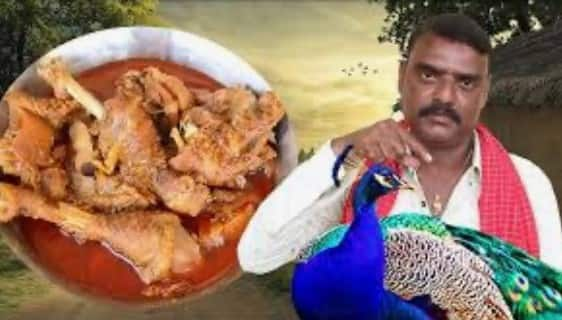 YouTuber’s ‘Peacock Curry Recipe’ Lands Him In Soup, Arrested After Video Attracts Ire