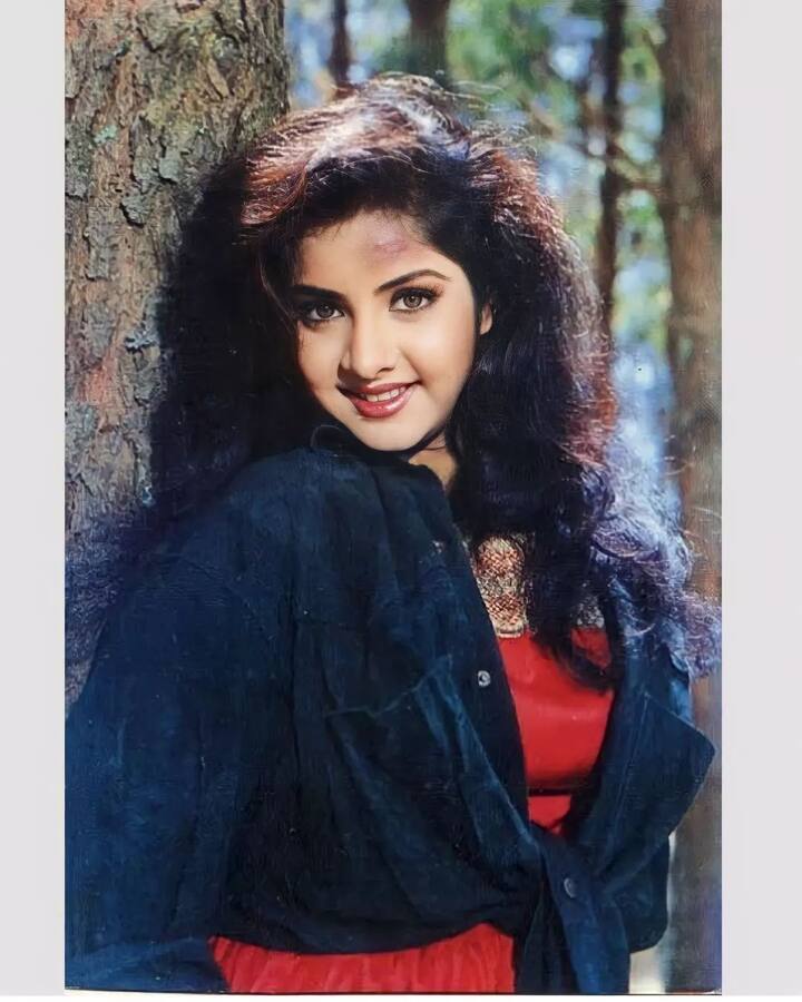 इसके बाद दिव्या भारती इंडस्ट्री के हीरो नंबर वन गोविंदा के साथ ‘शोला और शबनम’ में नजर आईं. ये फिल्म भी ब्लॉकबस्टर हिट रही थी.