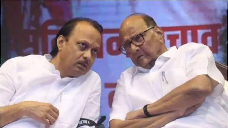 Sharad Pawar was made an MP by Ajit Pawar and then the dream of Delhi came Criticism of NCP Women District President shital farakate Ajit Pawar in Kolhapur : शरद पवारांना अजित पवारांनी खासदार केलं आणि मग दिल्लीची स्वप्न पडली; राष्ट्रवादी काँग्रेस महिला जिल्हाध्यक्षांची टीका