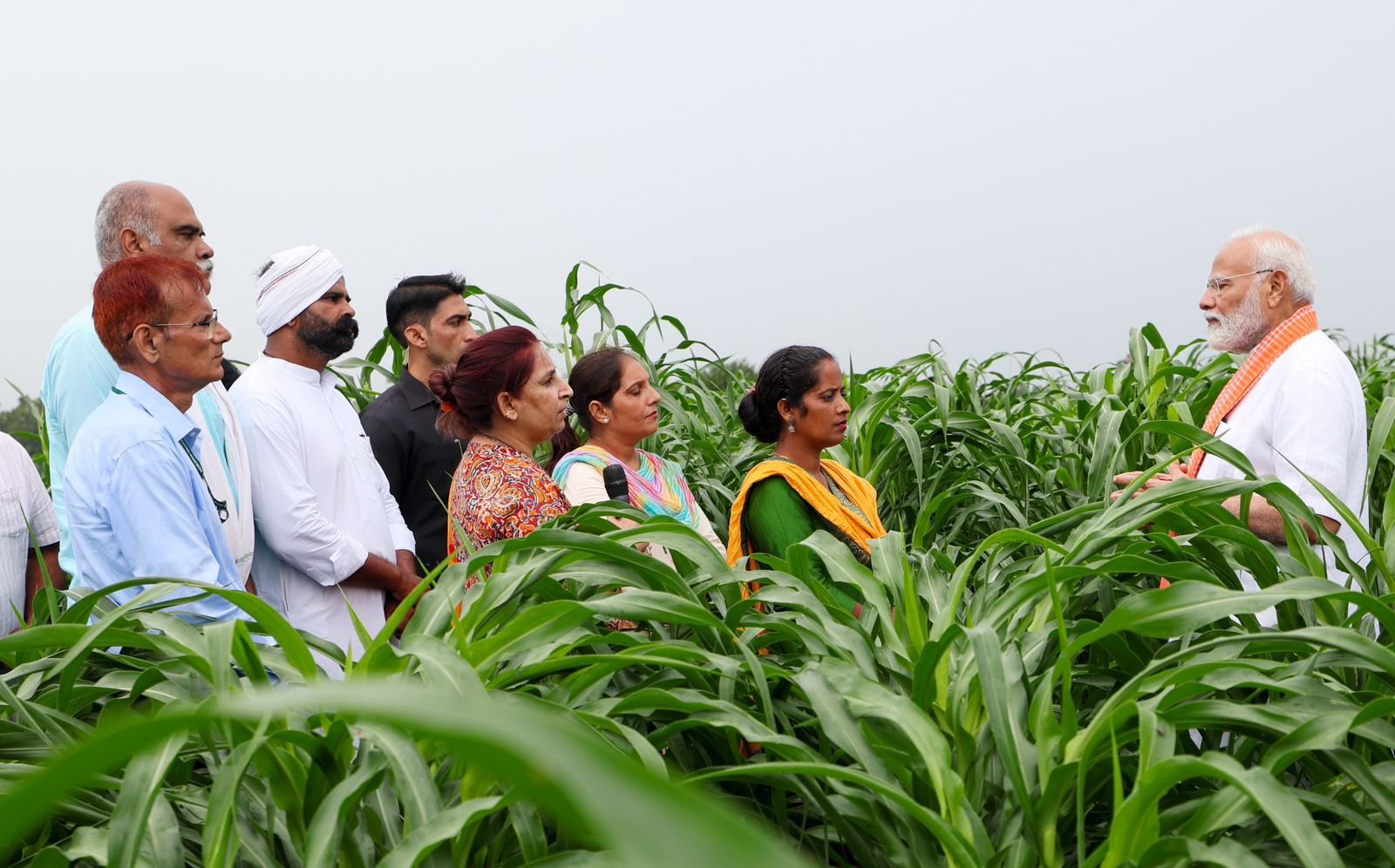 PM Modi releases 109 high yielding climate resilient and biofortified  varieties of crops natural farming | PM Modi: பருவநிலையை தாங்கும் கரும்பு,  பருத்தி உள்ளிட்ட 109 பயிர் ரகங்களை வெளியிட்ட ...