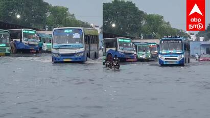 Viluppuram received 22 cm of rain due to heavy rain last night TN Rain : நள்ளிரவில் வெளுத்து வாங்கிய கனமழை...தண்ணீரில் தத்தளிக்கும் விழுப்புரம்...