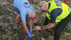 समुद्र तट पर मानव हाथ मिलने से पुलिसकर्मीयों में हड़कंप, इसके बाद जो हुआ हंस पड़ेंगे आप