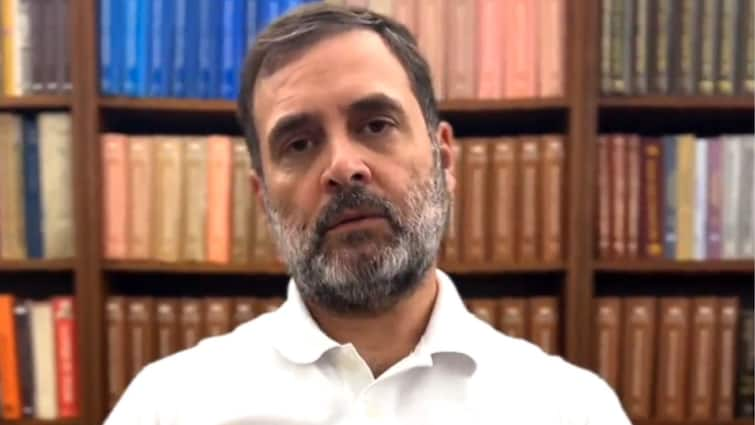 SEBI Hindenburg Report Congress Rahul Gandhi BJP Reaction Madhabi Puri Buch 'Rahul Gandhi Is Country's Enemy': BJP Slams Congress MP Over Remarks On Hindenburg-SEBI Chair Row