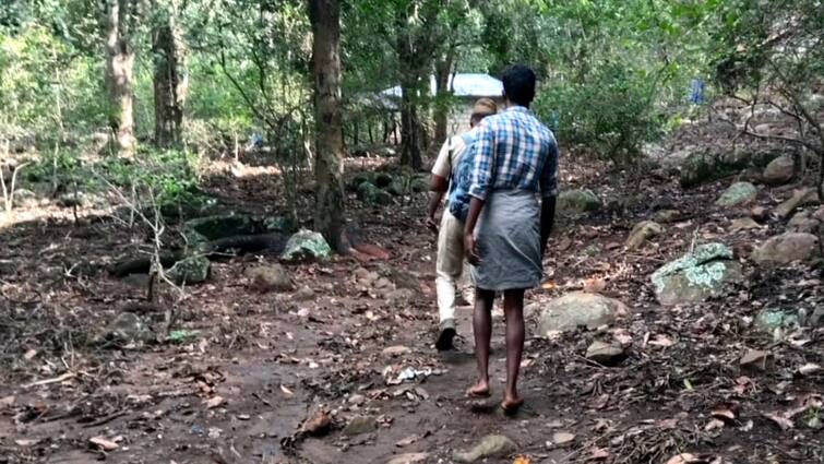 Dindigul farmer shot a teenager with a fake gun for picking fruits in his garden - TNN திண்டுக்கல் அருகே அதிர்ச்சி.. தோட்டத்தில் பழங்களை பறித்த வாலிபர்.. துப்பாக்கியால் சுட்ட விவசாயி