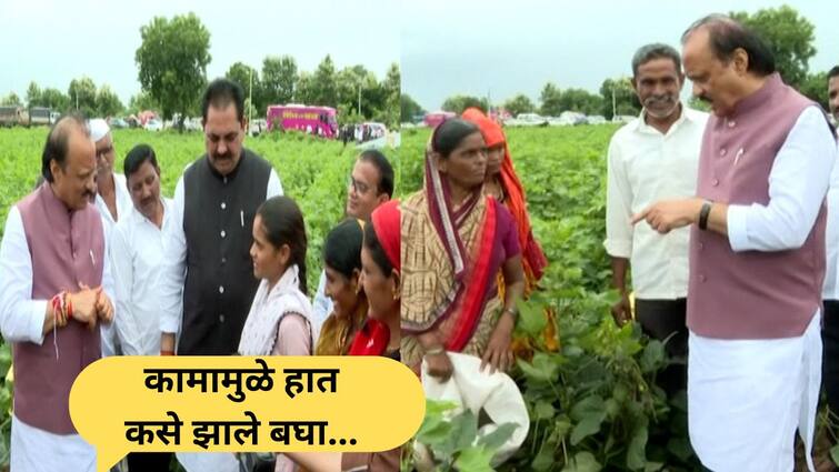 माझ्या हाताला बहिणींची राखी आहे तोपर्यंत माझ्या जीवाला धोका नाही : अजित पवार 