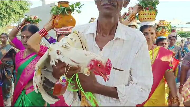 కోడి పుంజును అభారణాలతో అందంగా ముస్తాబు చేయడంతో బోనాలతో తరలివచ్చిన మహిళలు, గ్రామస్తులు ఆశ్చర్యానికి గురయ్యారు. అంతరం కోడిపుంజు అమ్మవారికి బలిచ్చారు.