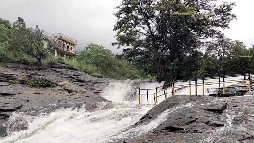 Theni news Kumbakarai Falls Flooding . Tourists are prohibited from bathing in the falls - TNN கும்பக்கரை அருவியில் வெள்ளப்பெருக்கு - குளிக்க சுற்றுலா பயணிகளுக்கு தடை
