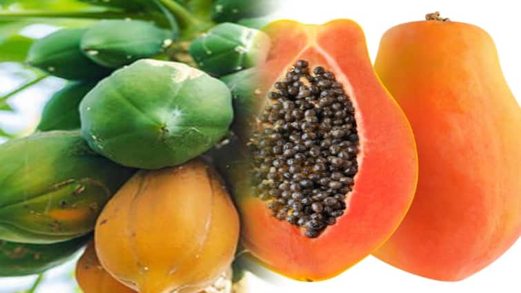 Is papaya fruit healthy during pregnancy? கர்ப்பகாலத்தில் பப்பாளிப்பழம்..! முன்னோர்கள் சொல்வது என்ன? உண்மை என்னன்னு தெரியுமா?