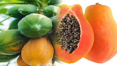 Is papaya fruit healthy during pregnancy? கர்ப்பகாலத்தில் பப்பாளிப்பழம்..! முன்னோர்கள் சொல்வது என்ன? உண்மை என்னன்னு தெரியுமா?