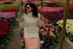 હવે ઘસાઈ ગયેલા કપડા છોડો, તાપસી પન્નુનો આ ખાસ આઉટફિટ ટ્રાય કરો, તમારા વખાણ કરતા લોકોની લાઈન લાગશે