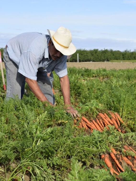 कैसे पता करें पीएम किसान निधि का स्टेटस