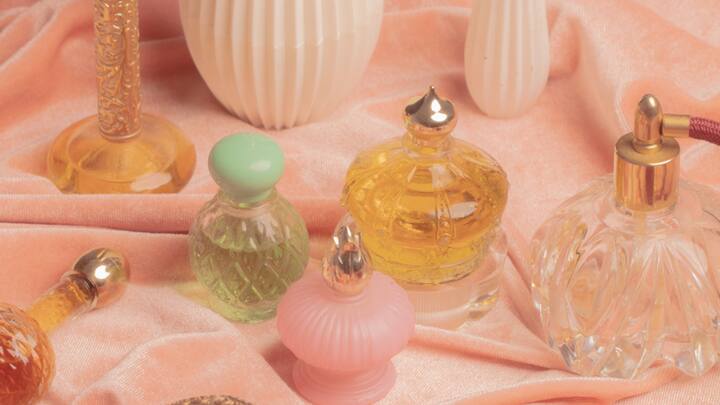 Inputs by: Prajakta Kanegaonkar - Fragrance Specialist at ITC Limited. (Image Source: Canva)