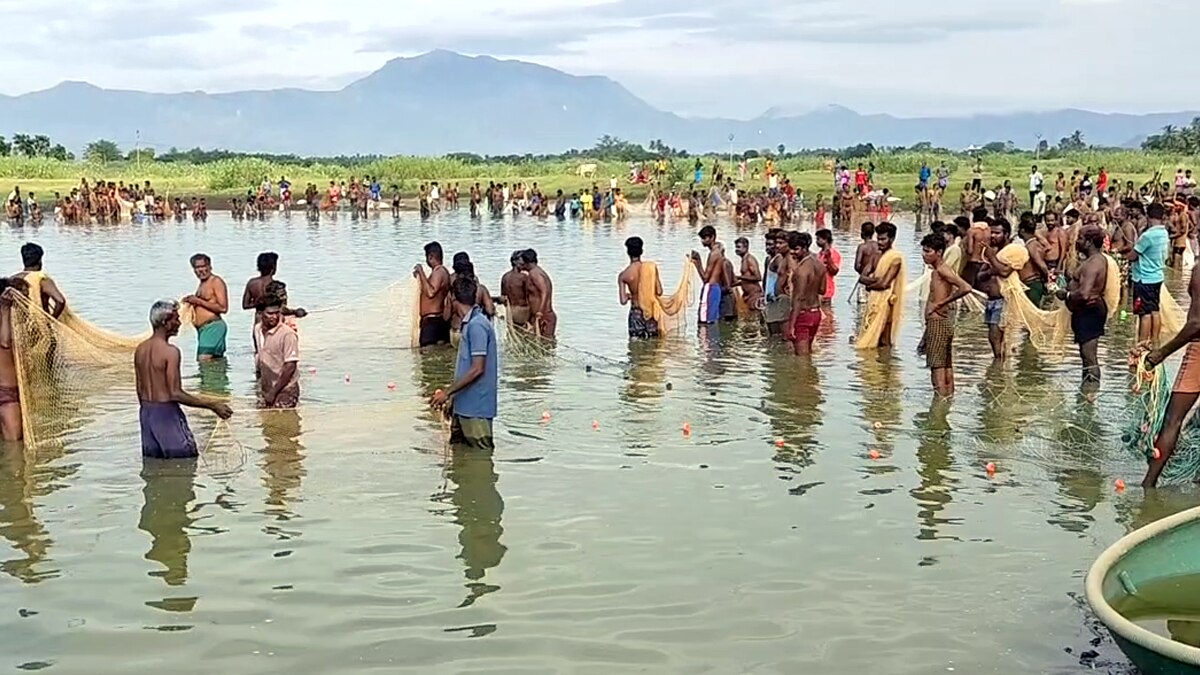 மதநல்லிணக்கத்தை வலியுறுத்தி மீன் பிடி திருவிழா.... மீன்களை அள்ளி சென்ற கிராம மக்கள் - எங்கு தெரியுமா?