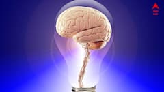 Memory Boost Food: অল্পেতেই ভুলে যাচ্ছেন? এই ৮ খাবারে স্মৃতিশক্তি হবে চাঙ্গা, তুখোড় হবে ব্রেন