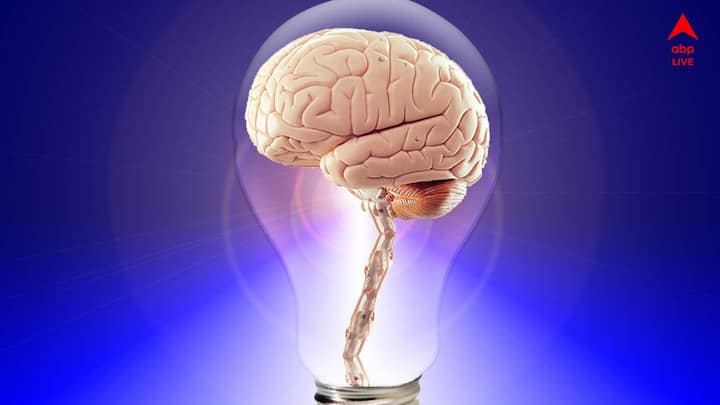 স্মৃতিশক্তি বৃদ্ধিতে গুরুত্বপূর্ণ অবদান রাখে কিছু পুষ্টিকর খাবার, সময়মতো সুফল পেতে ছোট থেকেই এই খাবার খাওয়া উচিত।