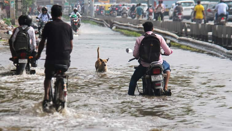 Heavy Rain Batters North India, Claims Many Lives: Home Roof Collapses, Park Turns Into Pond