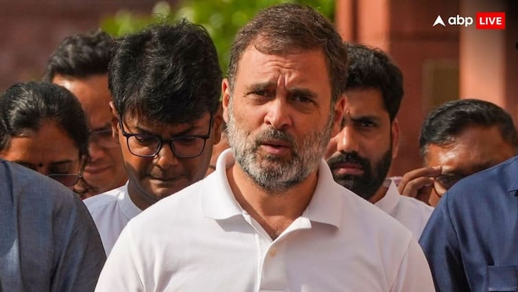 Rahul Gandhi is earning 9 lakh rupees per month from his stock Portfolio he made 46 Lakh Profit In 5 Months Rahul Gandhi: हर महीने 9 लाख रुपये से ज्यादा कमा रहे राहुल गांधी, मोदी 3.0 में भरती जा रही जेब 