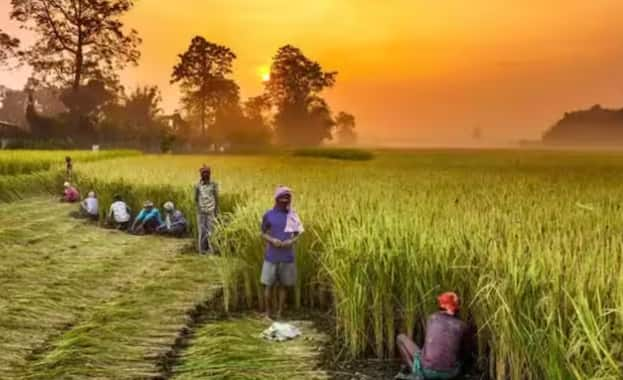 इसके साथ ही जिन किसानों ने अभी तक भूल सत्यपान की प्रक्रिया पूरी नहीं की है। उनकी अगली किस्त में भी देरी हो सकती है.