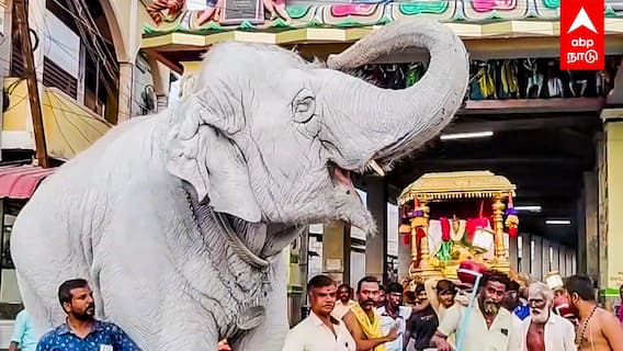 Tiruchendur White Elephant | வெள்ளை யானை உலா..வியந்து பார்த்த பக்தர்கள்..திருச்செந்தூர் சுவாரஸ்யம்