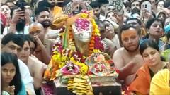 Ujjain News: सावन के चौथे सोमवार को बाबा महाकाल के दरबार में भक्तों का तांता, भस्म आरती से ही लग रही भीड़