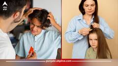 ਜੂੰਆਂ ਨੇ ਬੱਚਿਆਂ ਨੂੰ ਕਰ ਰੱਖਿਆ ਪ੍ਰੇਸ਼ਾਨ...ਤਾਂ ਮਾਪੇ ਇੱਕ ਵਾਰ ਜ਼ਰੂਰ ਅਪਣਾਓ ਇਹ ਨੁਸਖੇ...ਇੱਕ ਰਾਤ 'ਚ ਮਿਲ ਜਾਵੇਗਾ ਛੁਟਕਾਰਾ