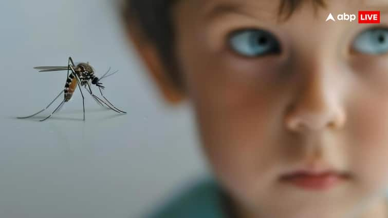 High risk of dengue fever after rain, protect your children