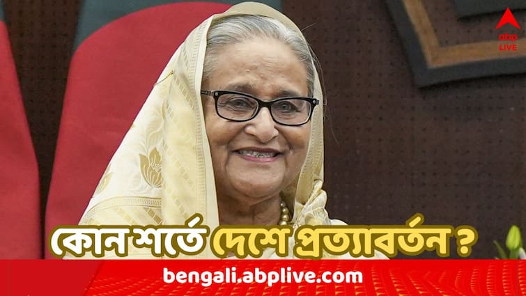 Bangladesh interim government says it Will try to bring back Sheikh Hasina if law ministry is requested Sheikh Hasina : 'শেখ হাসিনাকে বাংলাদেশে ফেরানোর চেষ্টা করব যদি...', বলছে অন্তর্বর্তী সরকার !