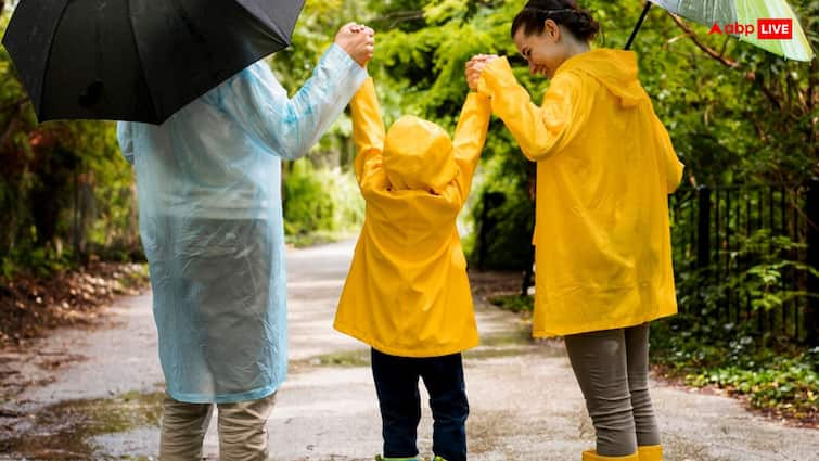 The risk of leptospirosis increases in the rain, know what this dangerous disease is