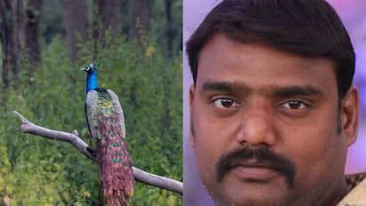 Telangana Youtuber gets arrested for posting content making Peacock curry Viral Video Peacock Curry : பாவிகளா.. மிளகு போட்டு மயில் கறிக்குழம்பா? தெலங்கானா யூ ட்யூபர் கைது..