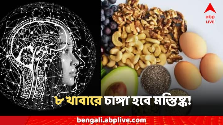 Brain Boost Food: স্মৃতিশক্তি ধারণ ক্ষমতা বৃদ্ধির জন্য সেরা খাবারগুলোর তালিকা দেখে নেওয়া যাক