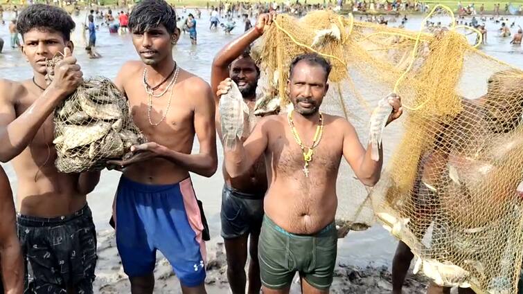 Dindigul news Fishing festival emphasizing religious harmony Villagers carrying fish - TNN மதநல்லிணக்கத்தை வலியுறுத்தி மீன் பிடி திருவிழா.... மீன்களை அள்ளி சென்ற கிராம மக்கள் - எங்கு தெரியுமா?