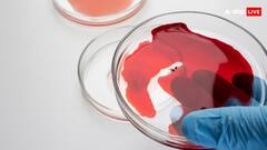 क्या किसी जानवर का खून पिया जा सकता है? जानें ये कितना खतरनाक