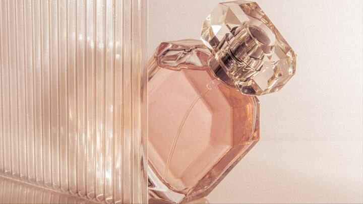 Perfumes last longer on moisturised skin especially elbows and knees in addition to your wrists, neck, and ears. So applying fragrances after a shower is recommended. When our skin is adequately moisturised, it is less likely to neutralise the fragrance, allowing it to fully develop and last longer on the skin. (Image Source: Canva)