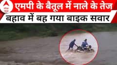 MP Rains: मध्य प्रदेश के बैतूल में बारिश से उफान पर नदी-नाले, बह गया बाइक सवार | ABP News