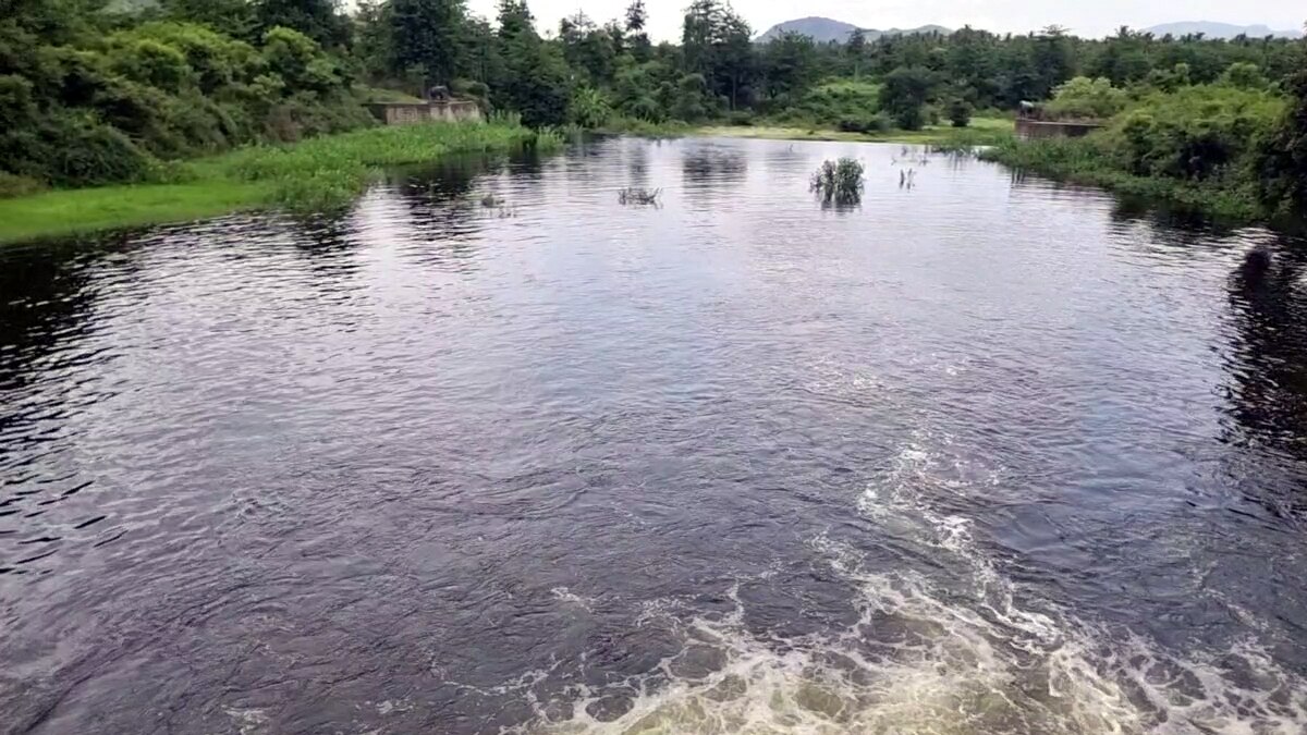 கும்பக்கரை அருவியில் வெள்ளப்பெருக்கு - குளிக்க சுற்றுலா பயணிகளுக்கு தடை