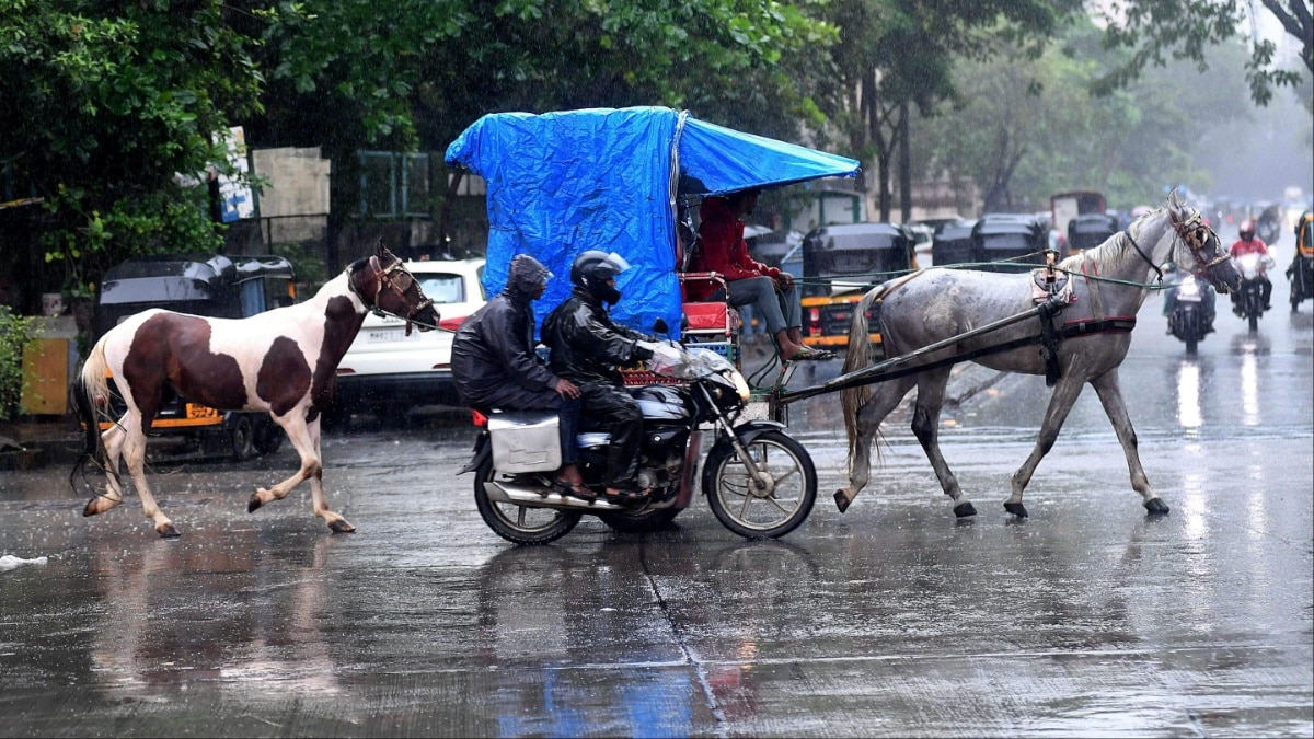 Maharashtra Weather: महाराष्ट्र के 6 जिलों में येलो अलर्ट, तूफान-बिजली गिरने की भी चेतावनी, मुंबई में कैसा रहेगा मौसम?