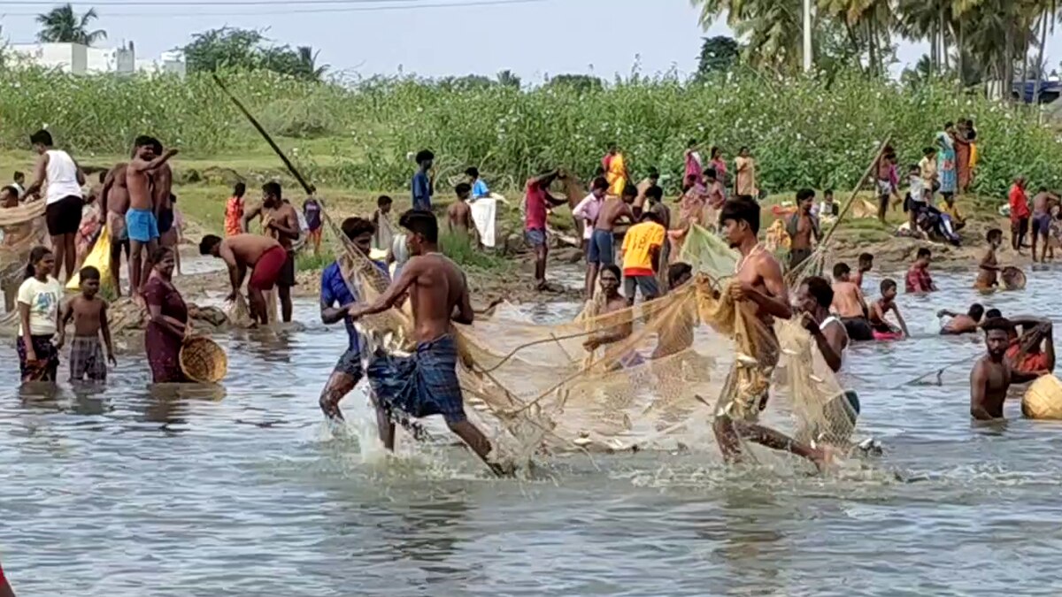 மதநல்லிணக்கத்தை வலியுறுத்தி மீன் பிடி திருவிழா.... மீன்களை அள்ளி சென்ற கிராம மக்கள் - எங்கு தெரியுமா?