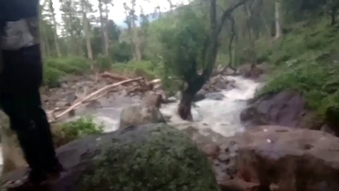 Theni news Rescue of 10 people trapped in forest flood in Athyuthu forest area near Bodi - TNN போடி அருகே அத்தியூத்து வனப்பகுதியில் காட்டாற்று வெள்ளத்தில் சிக்கிய 10 பேர் மீட்பு