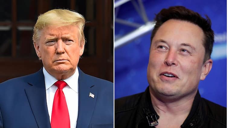 DDOS Attack: Elon Musk Claims This Is What Derailed Donald Trump Interview. Details