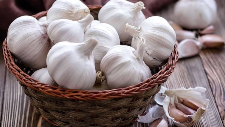 Garlic Vegetable Or Spice? Madhya Pradesh High Court Resolves Decade-Long Debate Is Garlic Vegetable Or Spice? Madhya Pradesh High Court Resolves Decade-Long Debate