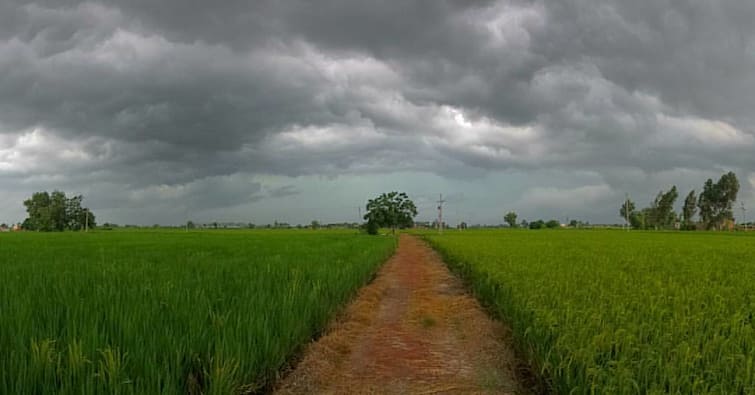 heavy rain alert for punjab haryana chandigarh Punjab Weather: ਪੰਜਾਬ ਤੇ ਚੰਡੀਗੜ੍ਹ ਨੂੰ ਲੈ ਕੇ ਭਾਰੀ ਮੀਂਹ ਦੀ ਚਿਤਾਵਨੀ, ਇਹਨਾਂ ਜ਼ਿਲ੍ਹਿਆਂ 'ਚ ਸਭ ਤੋਂ ਵੱਧ ਖਤਰਾ