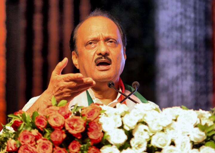 गठबंधन की बुनियादी जरूरत की ओर इशारा करते हुए महाराष्ट्र के डिप्टी सीएम ने कहा,